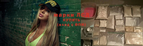 индика Балахна
