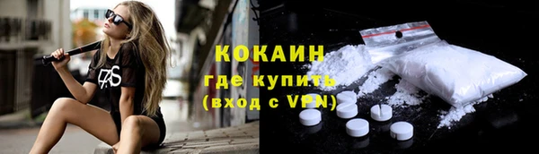 индика Балахна