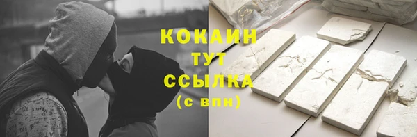 индика Балахна