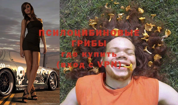 индика Балахна