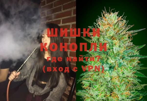 индика Балахна