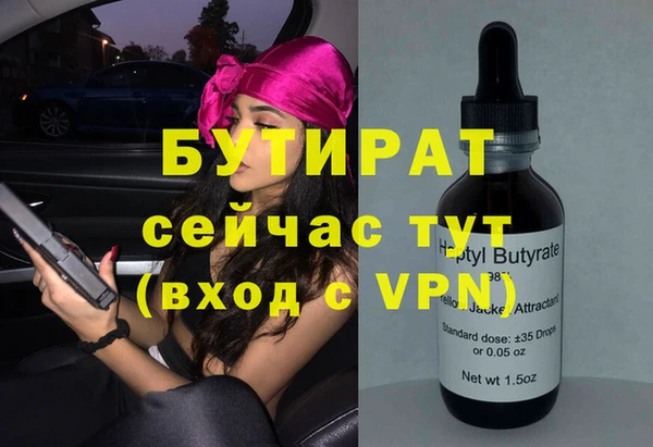 индика Балахна