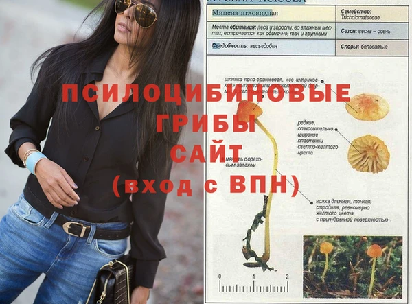 индика Балахна