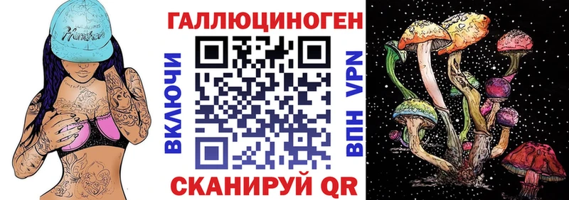 Псилоцибиновые грибы Cubensis  купить   Аша 