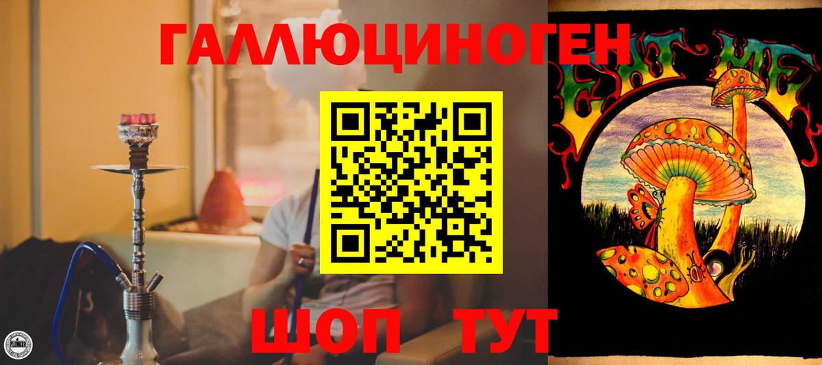 Псилоцибиновые грибы MAGIC MUSHROOMS  Вход с VPN  Аша 